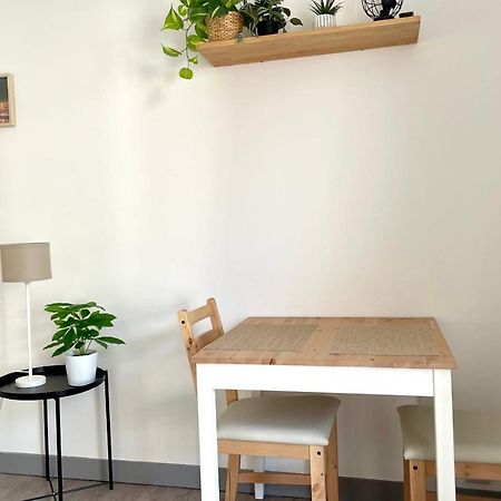 #Dd L'Ecrin Studio Ile Verte Balcony Grenoble Zewnętrze zdjęcie