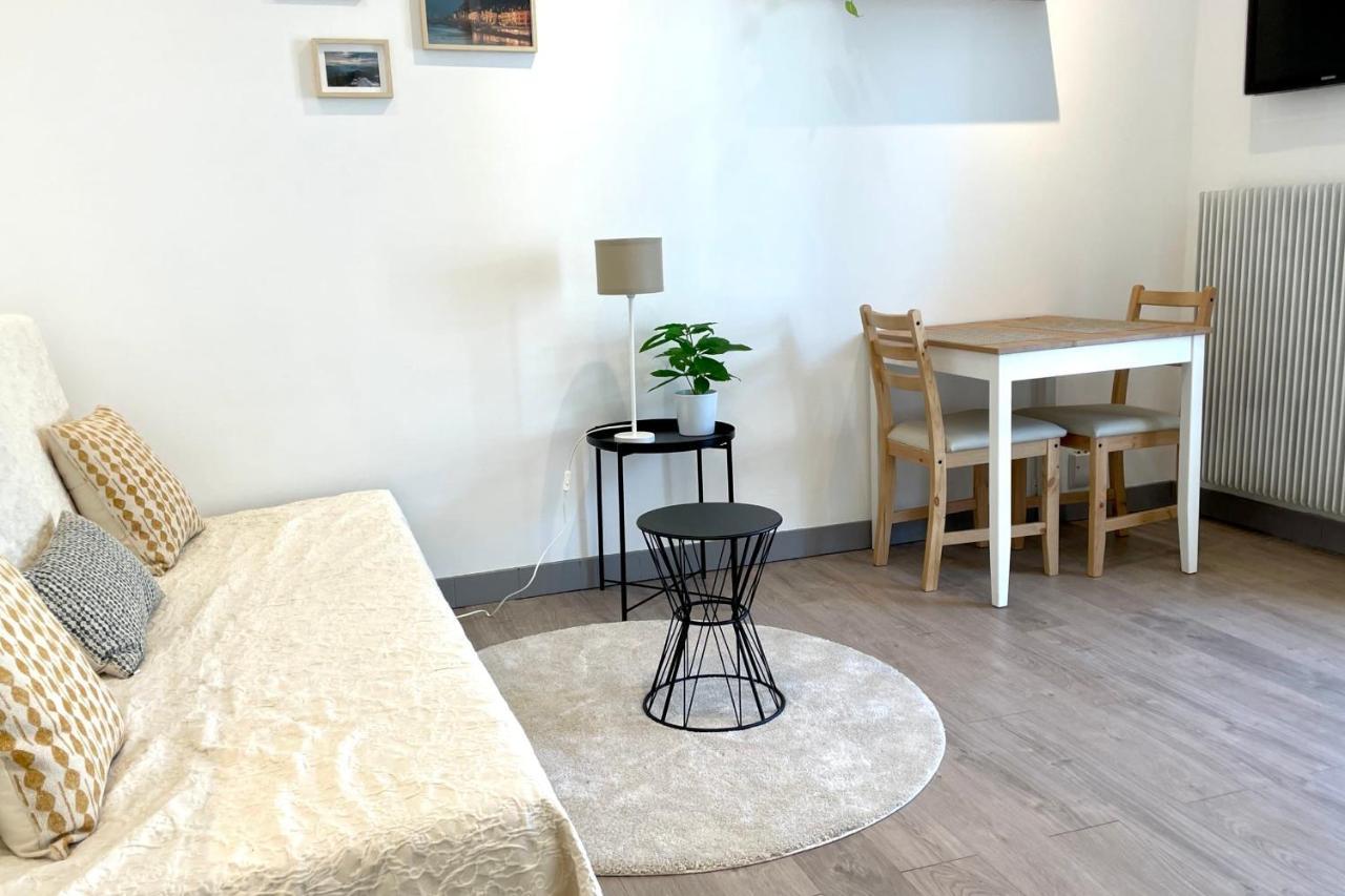 #Dd L'Ecrin Studio Ile Verte Balcony Grenoble Zewnętrze zdjęcie