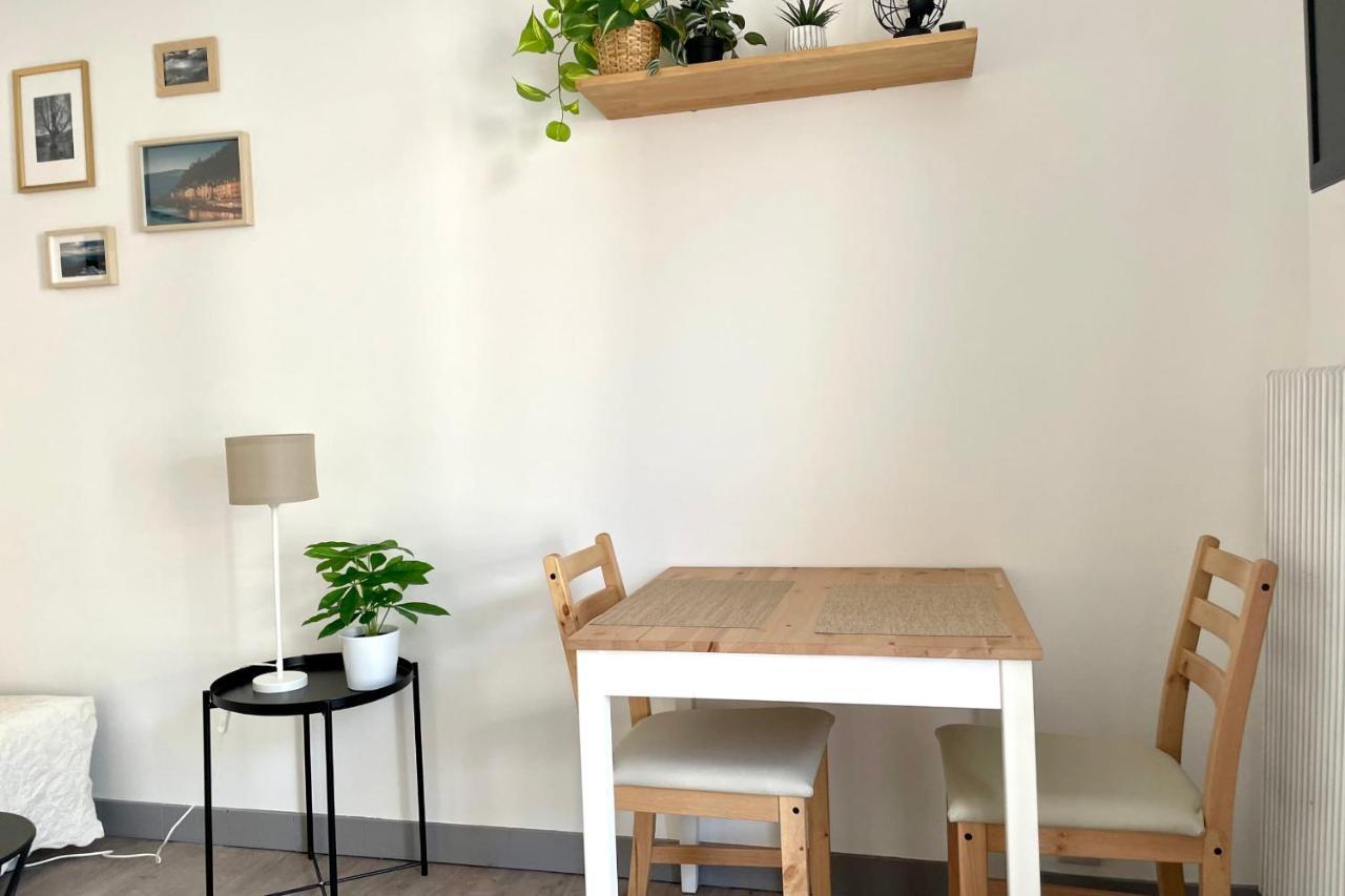 #Dd L'Ecrin Studio Ile Verte Balcony Grenoble Zewnętrze zdjęcie